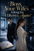 Boss, Your Wife's Asking for A Divorce, Again! ebook cover